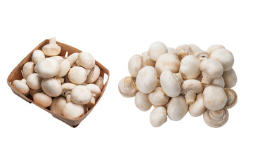 Champignon mushroom isolated on white background.
