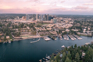 Fototapeta premium Bellevue Washington from Above