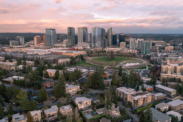 Bellevue Washington from Above