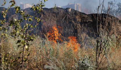 Forest and steppe fires dry completely destroy the fields and steppes during a severe drought. Disaster brings regular damage to nature and economy of region. Lights field with the harvest of wheat