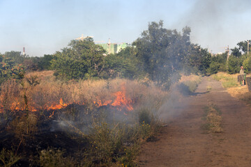 Forest and steppe fires dry completely destroy the fields and steppes during a severe drought....