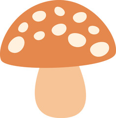Fly Agaric Mushroom