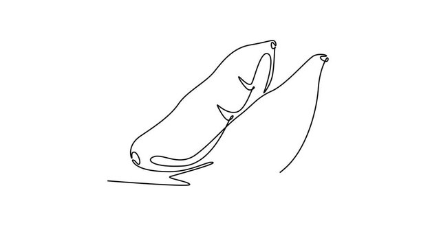 Animated self drawing of continuous line draw of whole healthy organic delicious sweet potato for bindweed logo identity. Fresh morning glory concept for vegetable icon. Full length one line animation