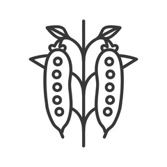 Line Drawing of Two Pea Pods on a Vine