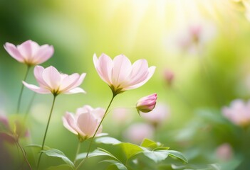 Fototapeta premium delicate petals floating gracefully gentle capturing essence beauty motion, flower, breeze, wind, nature, softness, tranquility, floral, scenery