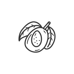 Hand drawn Line Art Illustration of a Halved Avocado with Leaves
