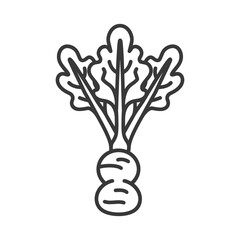 Line drawing of a turnip with leaves