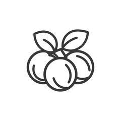 Line Drawing of Three Plums with Leaves