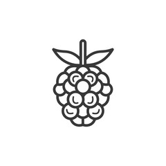 Line Art Illustration of a Single Raspberry