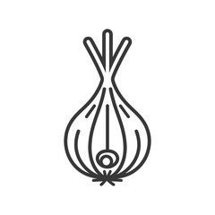 Line Drawing of a Single Onion