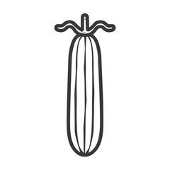 Fototapeta premium Hand Drawn Line Art Illustration of a Cucumber