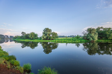 Fototapeta premium A calm river with trees on both sides