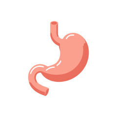 Gastroenteralgia stomach human organ flat design