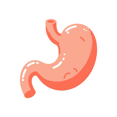 Gastroenteralgia stomach human organ flat design