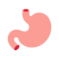 Gastroenteralgia stomach human organ flat design