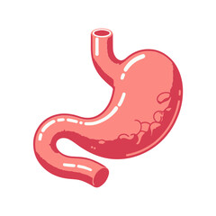 Gastroenteralgia stomach human organ flat design