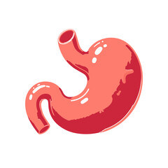 Gastroenteralgia stomach human organ flat design