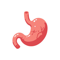 Gastroenteralgia stomach human organ flat design