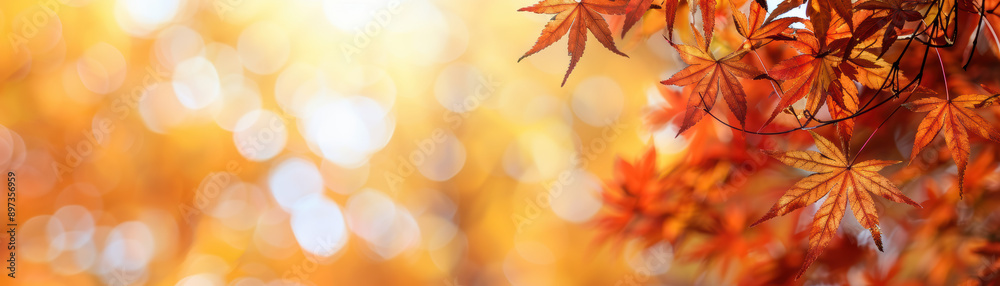 Canvas Prints A beautiful close-up of vibrant autumn leaves with a warm golden bokeh background, capturing the essence of the fall season.