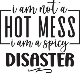 I am Not A Hot Mess I Am A Spicy Disaster