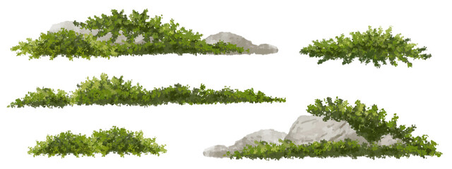 Vector watercolor of grass with rock for landscape and architecture drawing, elements for environment and garden, painting botanical for section,meadows or moss,green area © Chanya_B