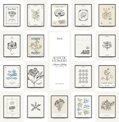 Abstract floral posters template. Modern trendy minimal style. Pink and blue colors. Hand drawn design for wallpaper, wall decor, print, postcard, cover, template, banner. 