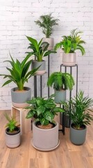 Fototapeta premium Three potted plants, one with palm leaves, another with wide green leaves, and a small one with narrow leaves, stand against a white brick wall