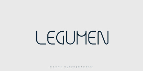 Elegant Minimalist Serif Alphabet Font Set – Modern and Classic Lettering

