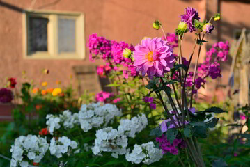 Beautiful flowers in front of the country house
