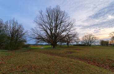 Obraz premium Abendstimmung im NSG Sulzheimer Gipshügel, Landkreis Schweinfurt, Unterfranken, Bayern, Deutschland.
