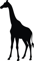 Giraffe silhouette vector