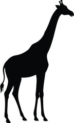 Giraffe silhouette vector