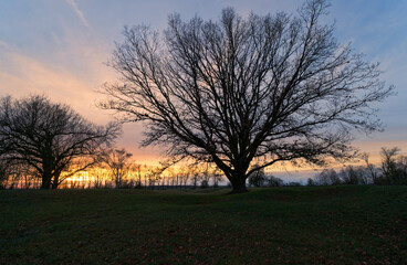 Abendstimmung im NSG Sulzheimer Gipsh&uuml;gel, Landkreis Schweinfurt, Unterfranken, Bayern, Deutschland.