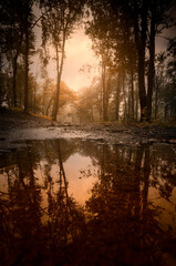 Fototapety na wymiar - Fototapeta24.pl