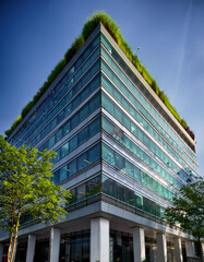 Modern office building with sustainable green roof, downtown, city centre, eco-friendly design