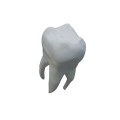 tooth isolated on white background