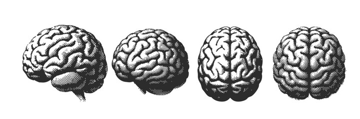 human brain halftone 90s Retro grunge grain effect and stippling vector dots textured realistic illustration 