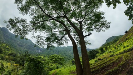 Obraz premium Lush green landscape with the Sahyadri range in the background, under a cloudy sky during the monsoon in Maharashtra.