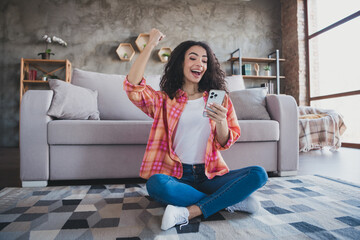 Obraz premium Photo of lucky cheerful lady wear checkered shirt online sale shopping modern device indoors room home house