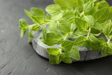 Sprigs of fresh green oregano on dark gray textured table, closeup