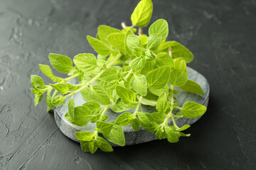 Sprigs of fresh green oregano on dark gray textured table, closeup