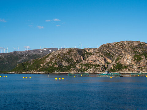 Salmon farming below the mountain