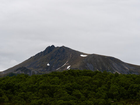 Forest and a mountain