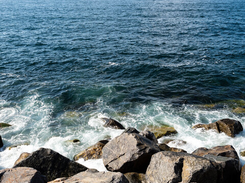 Rock on the shore