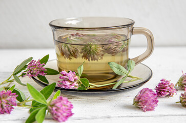 Trifolium pratense, red clover herbal tea in tea cup on white wood board background. Herbal medicinal tea in glass with fresh flower blossoms.
