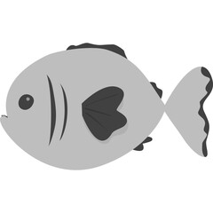 gray fish with teeth, water animal, isolated on white background. underwater animal, flat design