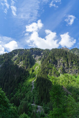 Obraz premium Landscape view near the mountain Grossvenediger at the austrian village called Neukirchen