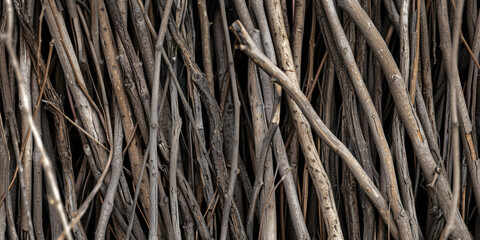 Texture Of Wooden Branches Of Twigs For Background And Other Design Solutions Created Using Artificial Intelligence