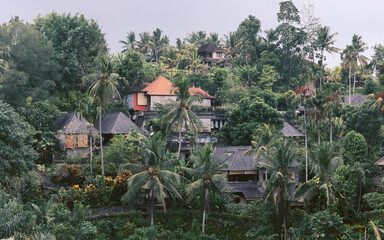 Houses in the jungle