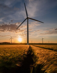 Obraz premium Wind turbines on the large field during sunset, green energy production